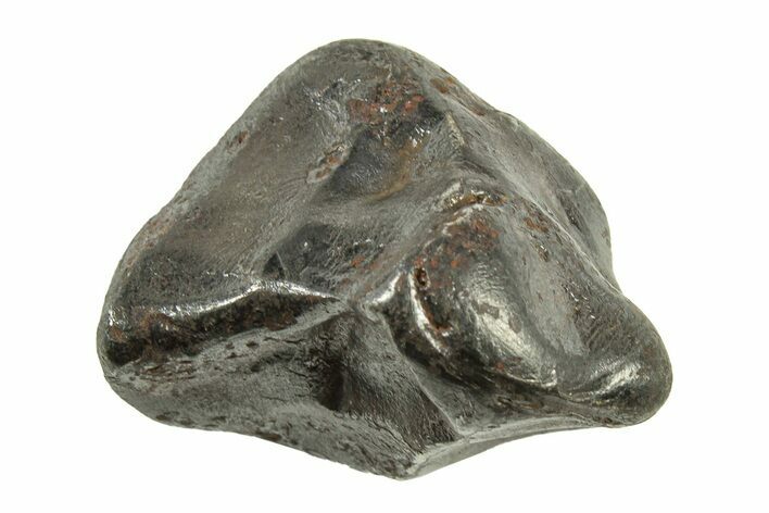 Fusion Crusted Sikhote-Alin Iron Meteorite ( grams) - Russia #243175